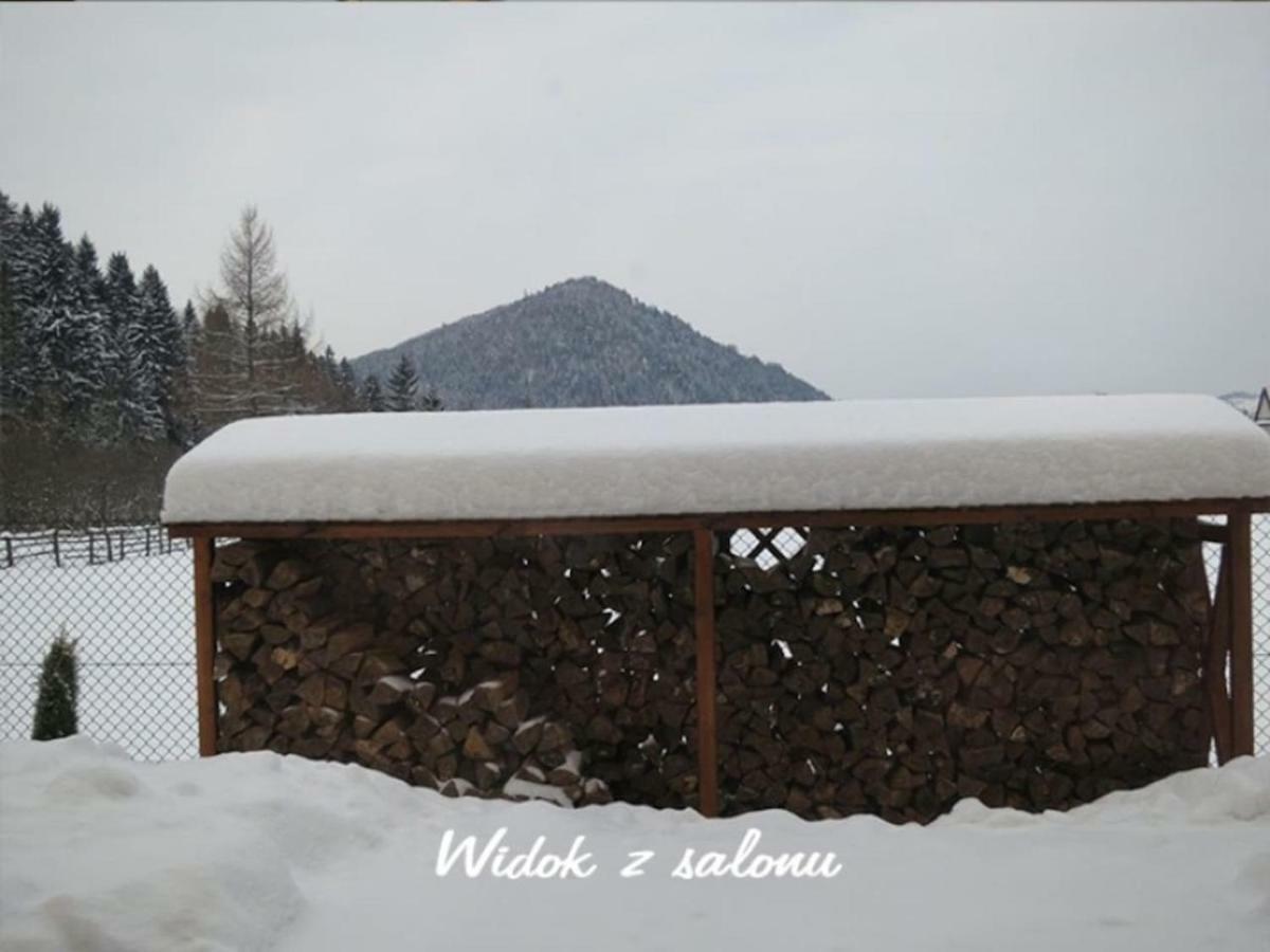 Nasze Pieniny Apartment Szczawnica Luaran gambar